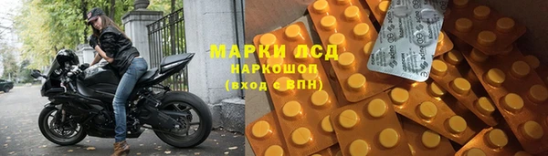 стаф Богданович