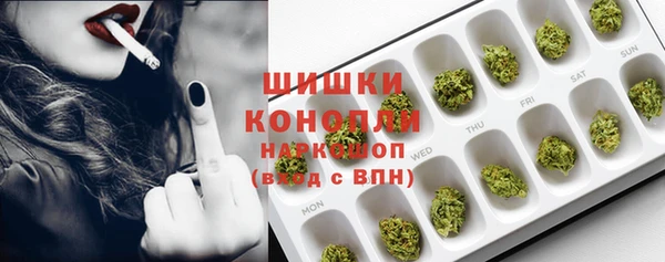 стаф Богданович