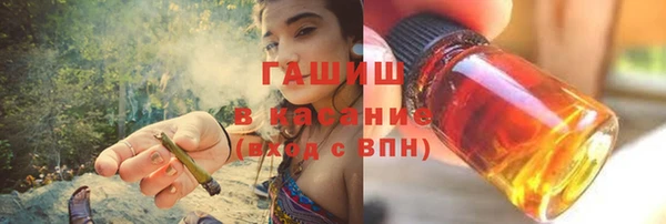 стаф Богданович