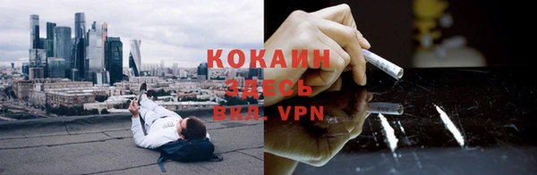 стаф Богданович