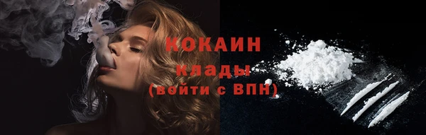 стаф Богданович