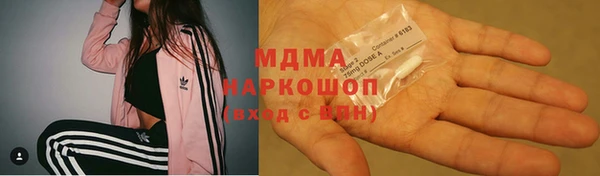 стаф Богданович