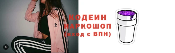 стаф Богданович