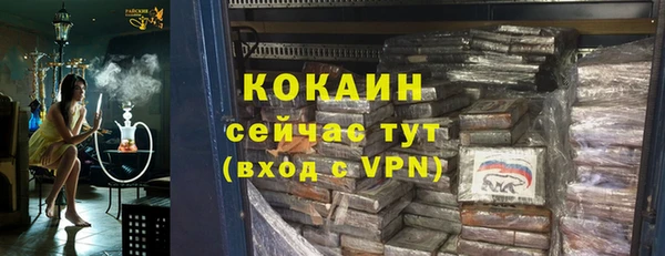 стаф Богданович