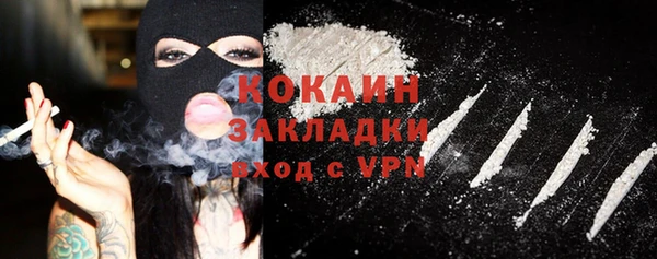 стаф Богданович