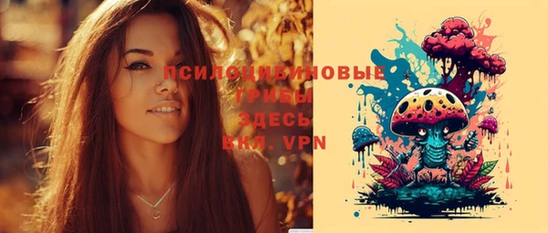 jwh Богородск
