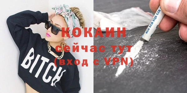 mix Богородицк